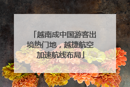越南成中国游客出境热门地，越捷航空加速航线布局