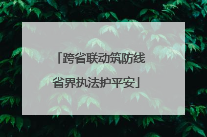 跨省联动筑防线 省界执法护平安