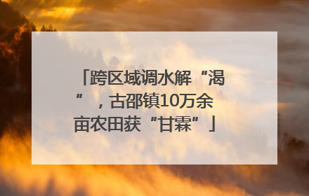 跨区域调水解“渴”，古邵镇10万余亩农田获“甘霖”