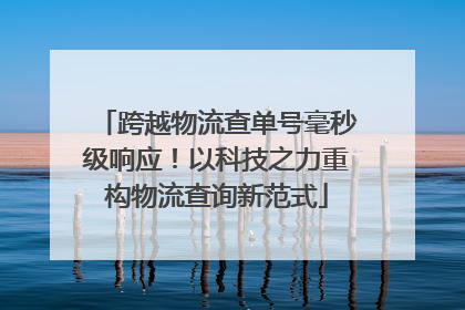 跨越物流查单号毫秒级响应！以科技之力重构物流查询新范式