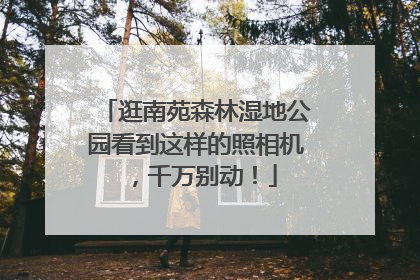 逛南苑森林湿地公园看到这样的照相机，千万别动！