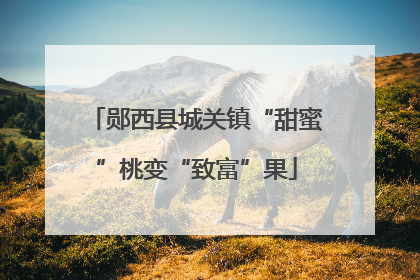 郧西县城关镇“甜蜜”桃变“致富”果