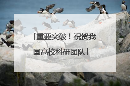 重要突破！祝贺我国高校科研团队