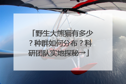野生大熊猫有多少？种群如何分布？科研团队实地探秘→