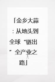 金乡大蒜：从地头到全球“链出”全产业之路