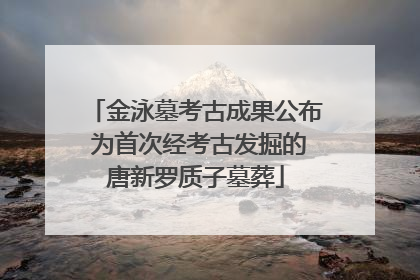 金泳墓考古成果公布 为首次经考古发掘的唐新罗质子墓葬