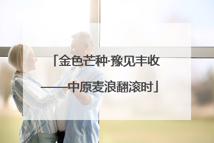 金色芒种·豫见丰收——中原麦浪翻滚时