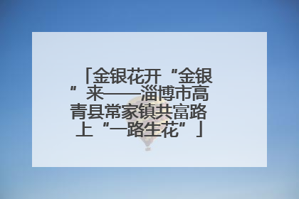 金银花开“金银”来——淄博市高青县常家镇共富路上“一路生花”