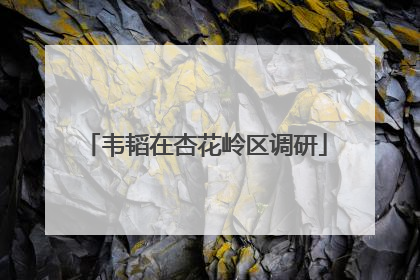 韦韬在杏花岭区调研