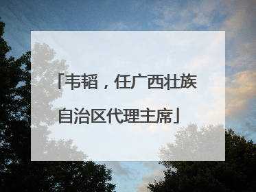 韦韬，任广西壮族自治区代理主席