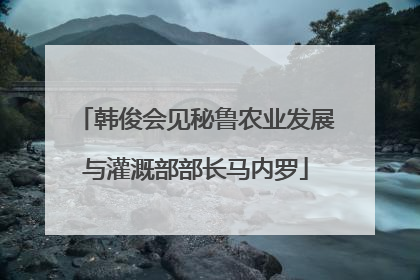 韩俊会见秘鲁农业发展与灌溉部部长马内罗
