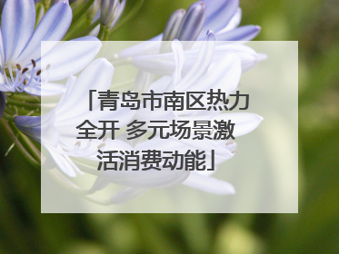 青岛市南区热力全开 多元场景激活消费动能