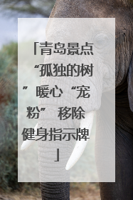 青岛景点“孤独的树”暖心“宠粉” 移除健身指示牌