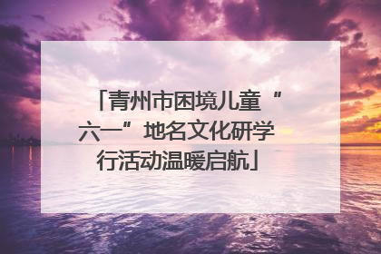 青州市困境儿童“六一”地名文化研学行活动温暖启航