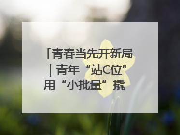青春当先开新局｜青年“站C位” 用“小批量”撬动产业大变革