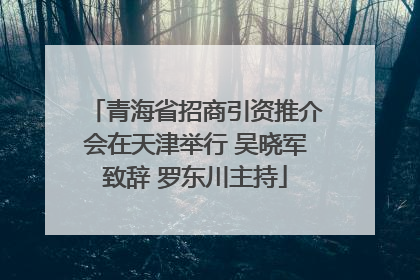 青海省招商引资推介会在天津举行 吴晓军致辞 罗东川主持
