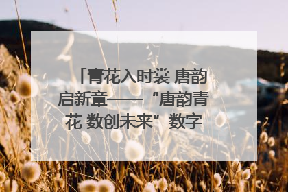 青花入时裳 唐韵启新章——“唐韵青花 数创未来”数字文创设计大赛启幕
