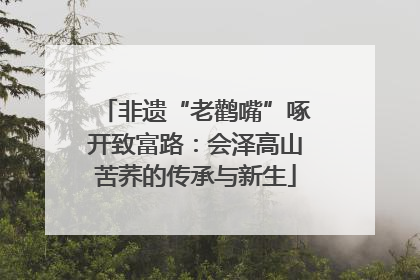 非遗“老鹳嘴”啄开致富路：会泽高山苦荞的传承与新生