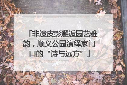 非遗皮影邂逅园艺雅韵，顺义公园演绎家门口的“诗与远方”