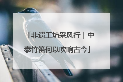 非遗工坊采风行｜中泰竹笛何以吹响古今