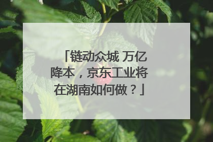 链动众城 万亿降本，京东工业将在湖南如何做？