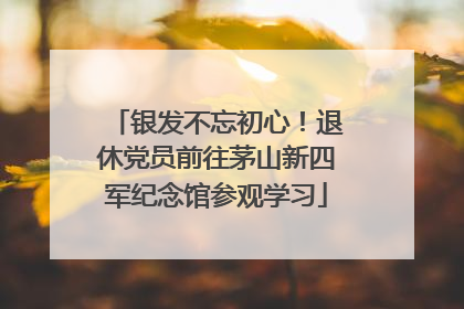 银发不忘初心！退休党员前往茅山新四军纪念馆参观学习