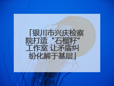 银川市兴庆检察院打造“石榴籽”工作室 让矛盾纠纷化解于基层