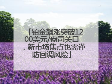 铂金飙涨突破1200美元/盎司关口，新市场焦点也需谨防回调风险