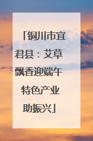 铜川市宜君县：艾草飘香迎端午 特色产业助振兴