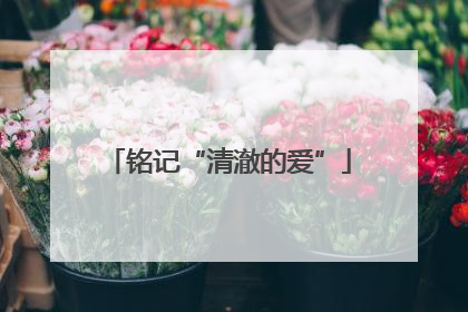 铭记“清澈的爱”