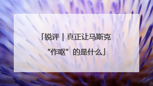 锐评｜真正让马斯克“作呕”的是什么