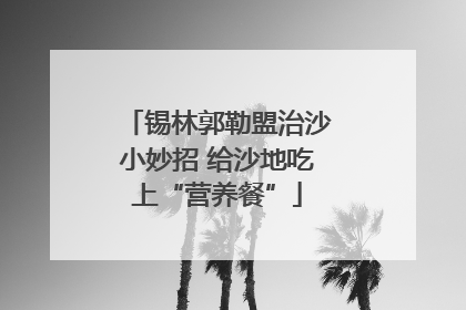锡林郭勒盟治沙小妙招 给沙地吃上“营养餐”