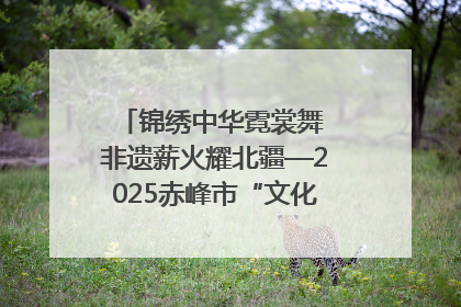 锦绣中华霓裳舞 非遗薪火耀北疆—2025赤峰市“文化和自然遗产日”非遗宣传展示活动纪实