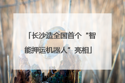 长沙造全国首个“智能押运机器人”亮相