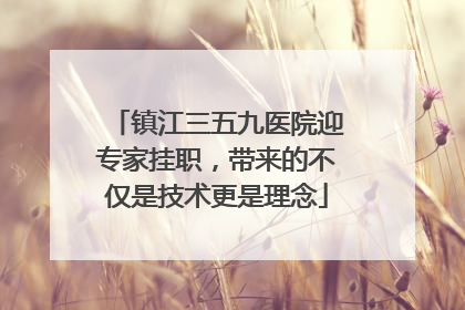 镇江三五九医院迎专家挂职，带来的不仅是技术更是理念