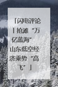 闪电评论丨抢滩“万亿蓝海” 山东低空经济乘势“高飞”