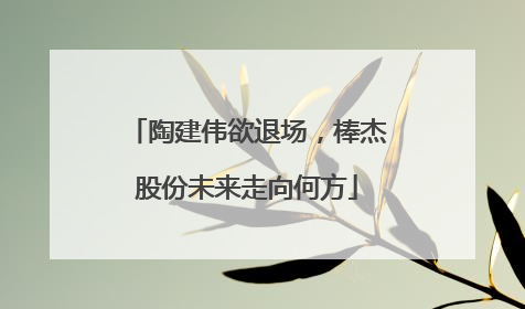 陶建伟欲退场，棒杰股份未来走向何方