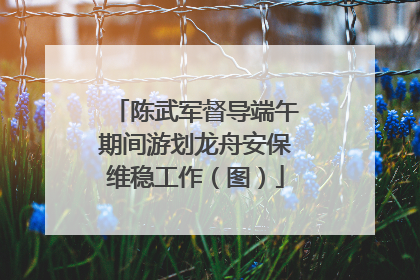 陈武军督导端午期间游划龙舟安保维稳工作（图）