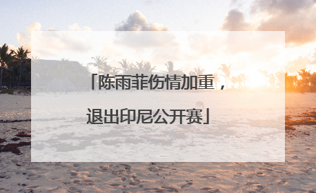 陈雨菲伤情加重，退出印尼公开赛