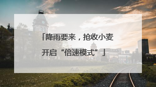 降雨要来，抢收小麦开启“倍速模式”