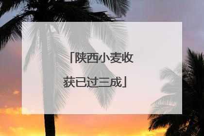 陕西小麦收获已过三成