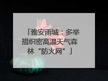 雅安雨城：多举措织密高温天气森林“防火网”