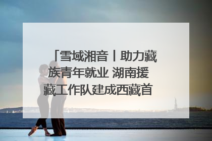 雪域湘音丨助力藏族青年就业 湖南援藏工作队建成西藏首个清洁能源装备园