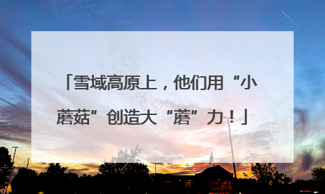 雪域高原上，他们用“小蘑菇”创造大“蘑”力！