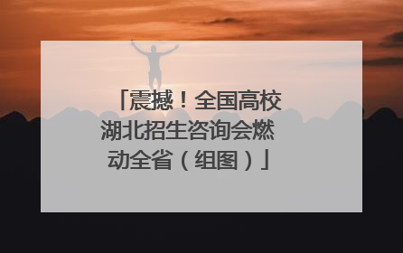 震撼！全国高校湖北招生咨询会燃动全省（组图）