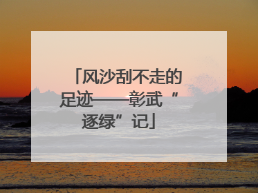 风沙刮不走的足迹——彰武“逐绿”记