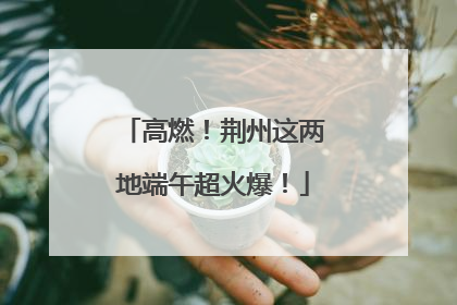 高燃！荆州这两地端午超火爆！