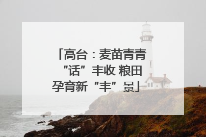 高台：麦苗青青“话”丰收 粮田孕育新“丰”景