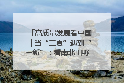 高质量发展看中国｜当“三夏”遇到“三新”：看南北田野里的科技共生记