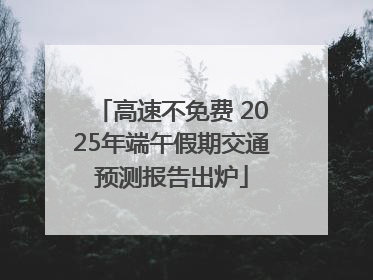 高速不免费 2025年端午假期交通预测报告出炉